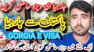 Georgia E Visa Online Apply  Step By Step Complete Guide  HTV HAIDER [upl. by Diet901]