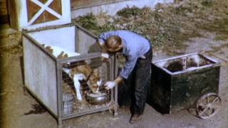 Welding on the Farm  1948 [upl. by Ahseret]