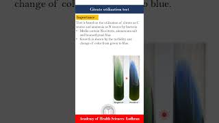 Citrate utilization test Biochemical tests  Microbiology  by ImranY aseen [upl. by Nonnel]