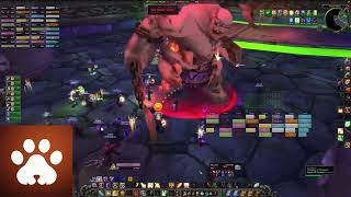 First Patchy Kill by Whiskers guild on WoW Classic Era [upl. by Chin878]