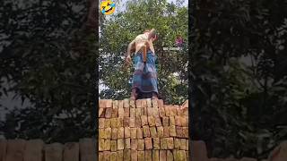 Comedy video lakadi ki kati songshotsviralvideo trending shorts Trendcomedian comedy shorts [upl. by Bowes]