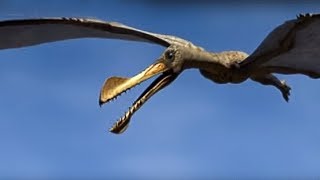 King of the Skies  Walking with Dinosaurs in HQ  BBC Earth [upl. by Lat506]