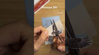 Pantone 291 pantonechallenge music song journaling scrapbook paperasmr collage 1분다꾸 sticker [upl. by Heng604]