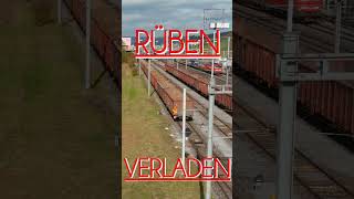 RÜBEN BAHNVERLAD [upl. by Tallia]