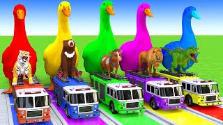 5 Giant Duck CartoonCowElephantTigerLionDinosaurPaint Wild Animals Crossing Fountain Animation [upl. by Ribaudo]