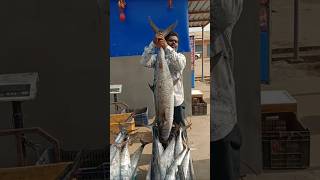 King fish seafood fisherman fishfry antarvedi fishing cut [upl. by Ynaoj]