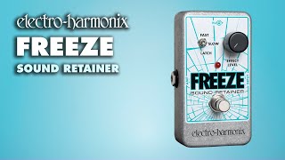 ElectroHarmonix Freeze Sound Retainer EHX Pedal Demo [upl. by Horner]