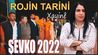 Rojin Tarini  Xayine  Şevko 2022 [upl. by Yerg740]