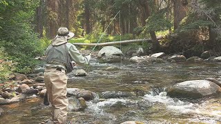 Fishing the East Fork Bitterroot River Montana [upl. by Aittam]