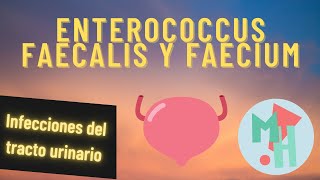 Infecciones hospitalarias del tracto urinario enterococcus faecalis y faecium [upl. by Igiul]