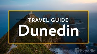 Dunedin Vacation Travel Guide  Expedia [upl. by Aleac]