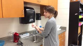 Hand Washing Demonstration [upl. by Yaffit]