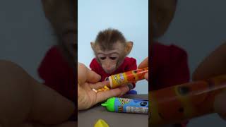 Bon Bon Monkey enjoy with full colors candy ASMR monkey animal [upl. by Atiugal]