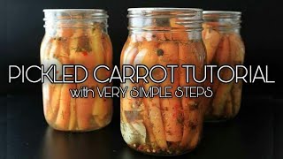 Pickled Carrots Tutorial  Pickling Process  Basic Food Preservation [upl. by Reedy]