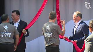 WATCH LIVE San Diego Zoo Panda Ridge opening ceremony [upl. by Faunie]