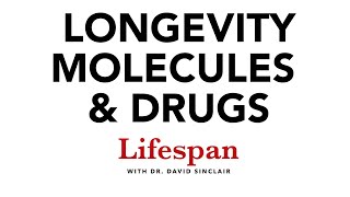 NMN NR Resveratrol Metformin amp Other Longevity Molecules  Lifespan with Dr David Sinclair 4 [upl. by Rhu873]