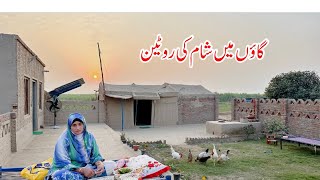 Gaon main Sham ki Routine I Evening Routine village woman I Happy Joint Family [upl. by Gene]