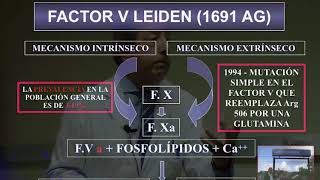 Trombofilia y embarazo [upl. by Ddet]