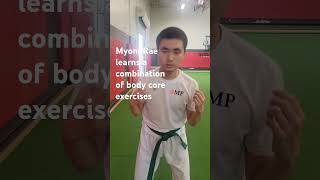 Ability trainingspecialmartialartsbody coretaekwondo [upl. by Eon429]