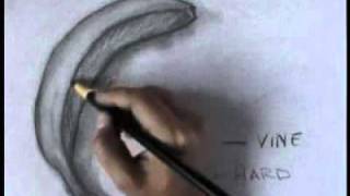 Charcoal Drawings  Learn to draw with charcoal [upl. by Ydnal]