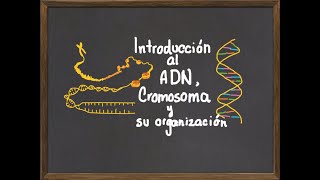 Introducción al Cromosoma ADN y su organización [upl. by Meli]