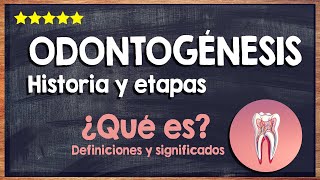 🙏 ¿Qué es la odontogénesis  Historia y etapas del proceso de odontogénesis 🙏 [upl. by Ennayoj202]