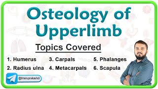 🦴 Oestology Of Upper Limb  Anatomy Lecture series 🎓🔍🕵️‍♂️ [upl. by Catharina604]