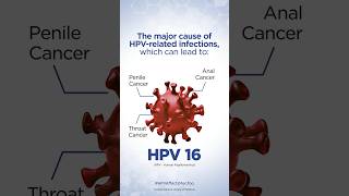 HPV Facts Every Man Should Know seruminstituteofindia [upl. by Alatea223]