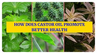 Health Benefits of Castor Oil A Comprehensive Guide [upl. by Constantino932]