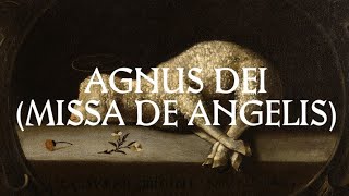 Agnus Dei  Catholic Latin Hymn [upl. by Aicilla]