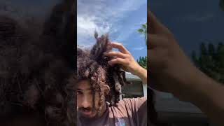 Natty Freeform Locs on 4A type hair freeformdreads dreadlocks [upl. by Aisatan]