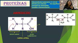 PROTEÍNAS I  AMINOÁCIDOS  IMPORTANCIA  Mg KAREN KELLY ENRIQUEZ SAAVEDRA [upl. by Duwe]