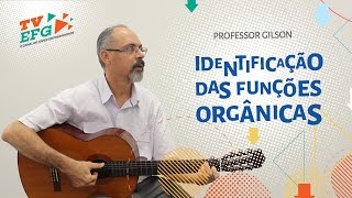 Aula de Química Identificação das Funções Orgânicas  Prof Gilson  Escola do Sebrae [upl. by Ellehsram878]