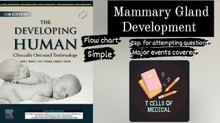 Mammary Gland Development in 3 minutes  easy simple flowchart  Embryology [upl. by Abdel]