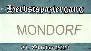 Niederkassel Mondorf Herbstspaziergang 31 Oktober 2024 [upl. by Narrat]