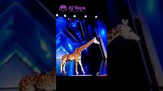 Man transforms into a Giraffe on AGT  Americas got talent [upl. by Eltotsira]