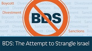 BDS The Attempt to Strangle Israel  5 Minute Video [upl. by Malony]