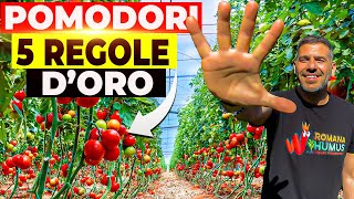 Rispetta queste 5 REGOLE Avrai FRUTTI GRANDI e PIU’ POMODORI 🌱🍅 [upl. by Auqinet]