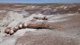 Petrified Forest National Park Arizona May 2024 [upl. by Marciano510]