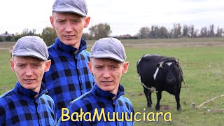 bezCzelny amp Iwcia  Bałamuciara officzial videło [upl. by Brenda]