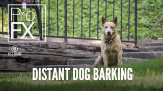 Distant Dog Barking  Animal sound effects  ProFX Sound Sound Effects Free Sound Effects [upl. by Sowell]