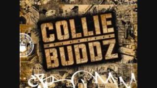 Collie Buddz  Blind To You [upl. by Lyontine]