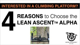 Interested in a Climbing Platform 4 Reasons to Review the Lean Ascent Alpha [upl. by Sillyhp]