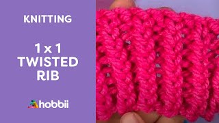 How to Knit 1 x 1 Twisted Rib  Single Twisted Rib Explained with Audio [upl. by Losyram]