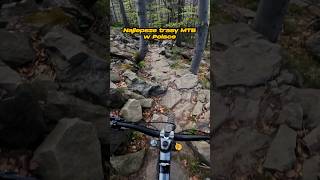 Bystra Klementyna 🌲🪨💎  Najlepsza dzika trasa w Bielsku BielskoBiała ● Enduro ● MTB [upl. by Bili]