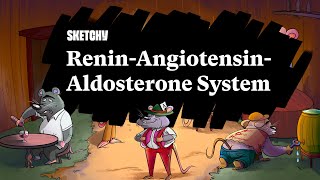 ReninAngiotensinAldosterone System Part 1  Sketchy Medical  USMLE Step 1 [upl. by Arrehs235]