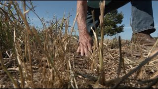 Georgia Farmer Earns National Recognition [upl. by Akenna]