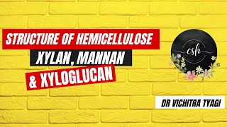 STRUCTURE OF HEMICELLULOSE XYLAN MANNAN amp XYLOGLUCAN [upl. by Enohpesrep]