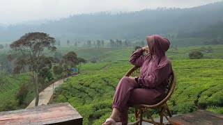 Eksplor KIARA MANUK  pangalengan  riung gunung  bandung [upl. by Coonan238]