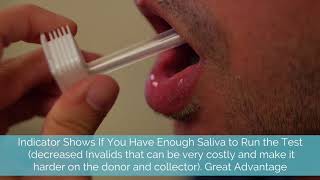 How to Use a SalivaConfirm® Oral Drug Test [upl. by Harrat800]